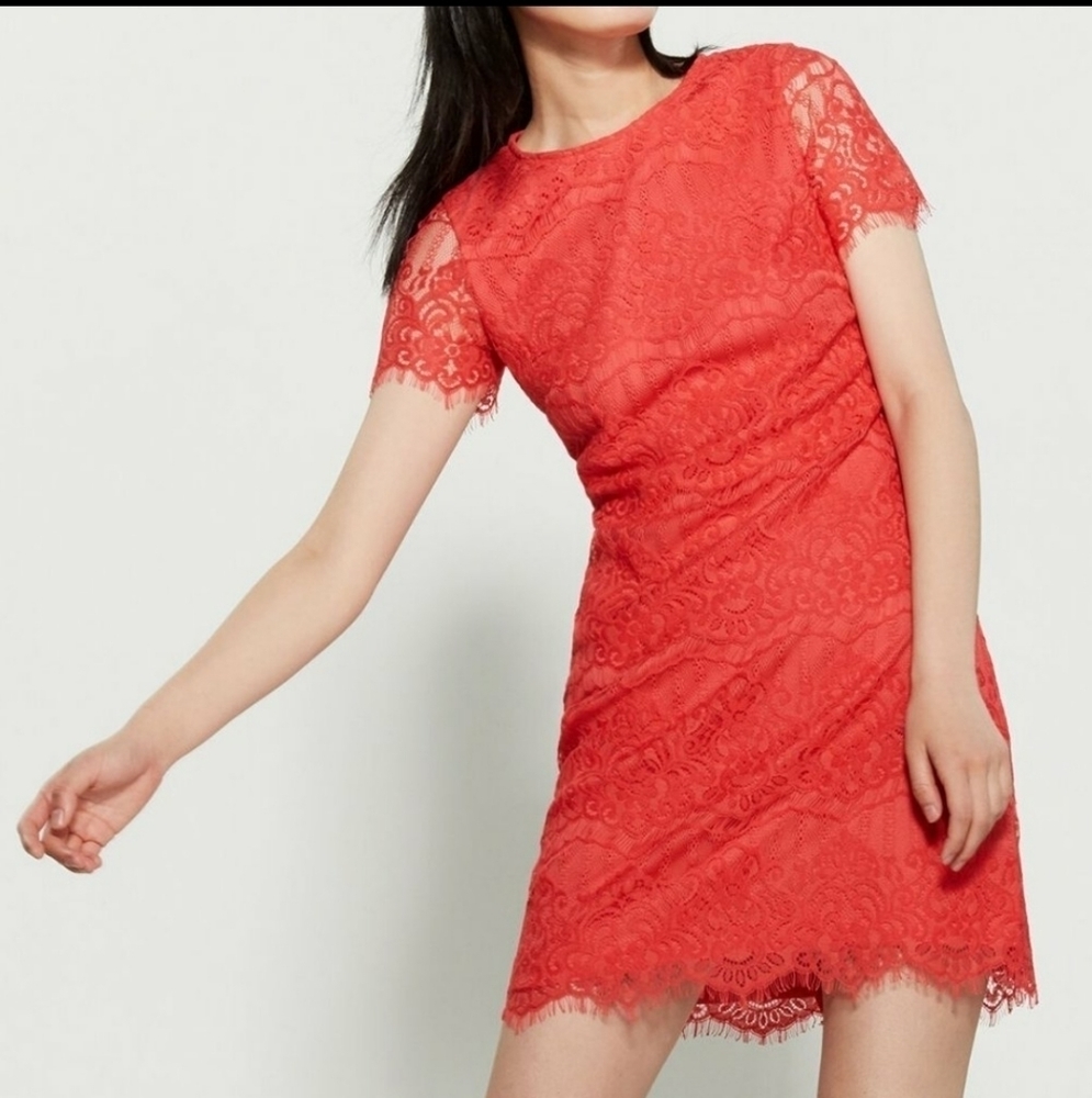 KENSIE Coral Stretch Lace Scalloped Short Sleeve Mini Dress